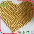 Non GMO High Protein Soybeans